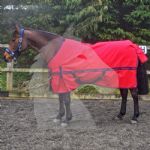 Kirkby 100g Turnout Rug